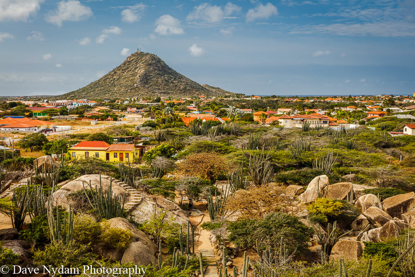 Aruba Landscape