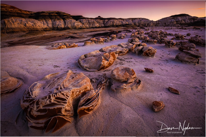 Alien Hatchery of Bisti Badlands at Sunset