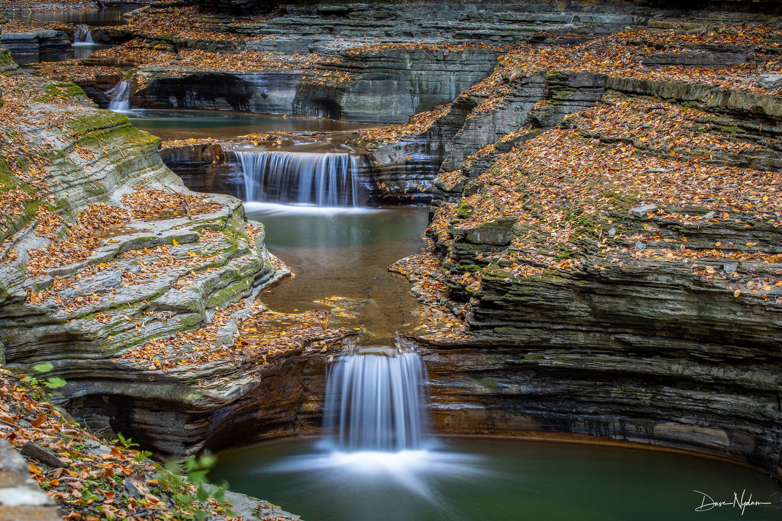 Watkins Glen State Park, NY