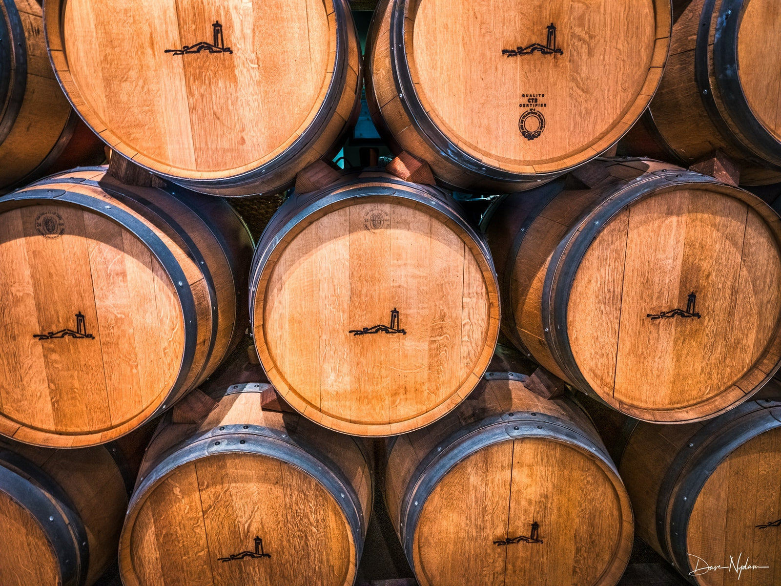 Napa Valley | Craft, Color & Cultivated Light 