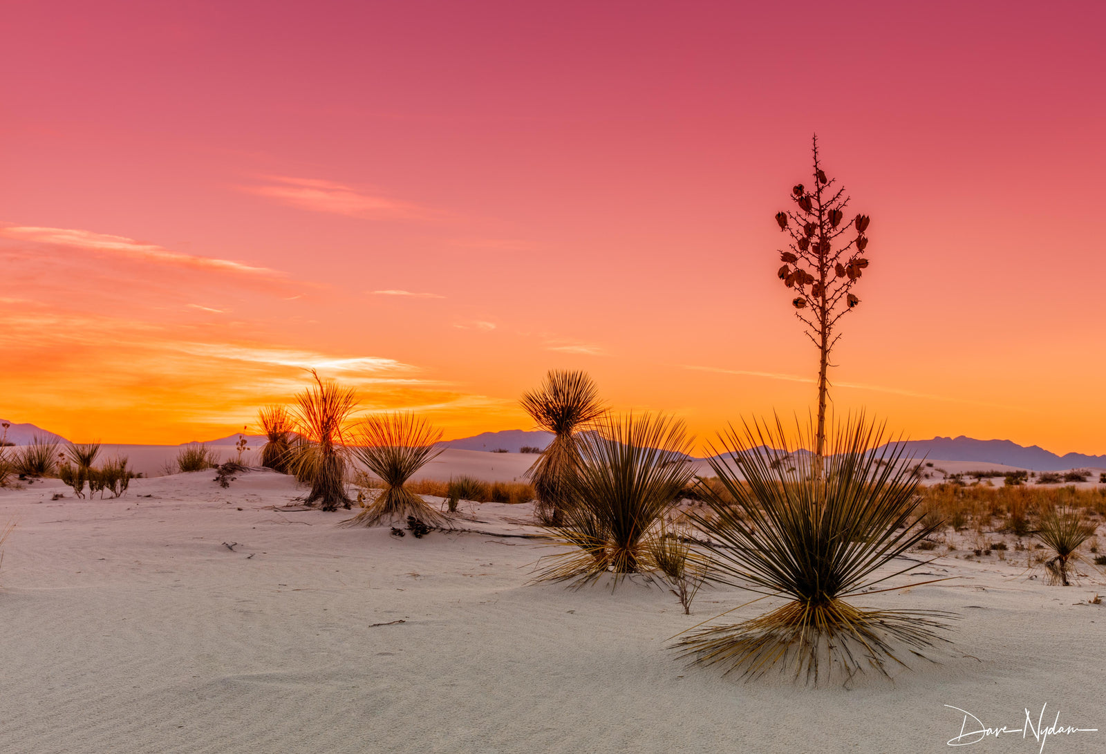 Shooting in the Desert or Dunes