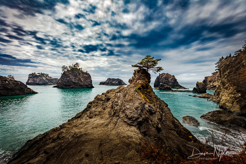 Samuel Boardman State Corridor