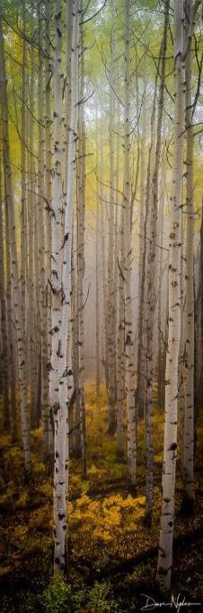 Colorado Aspens in the Mist as Vertical Panorama