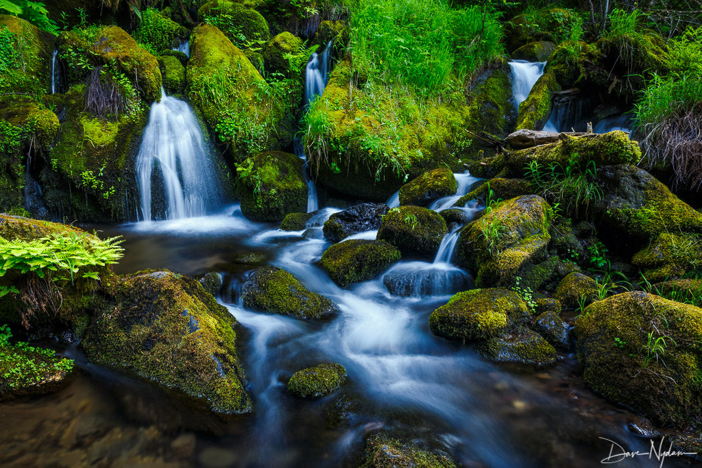 Small Waterfall and Creek Photograph as Limited Edition Fine Art Print