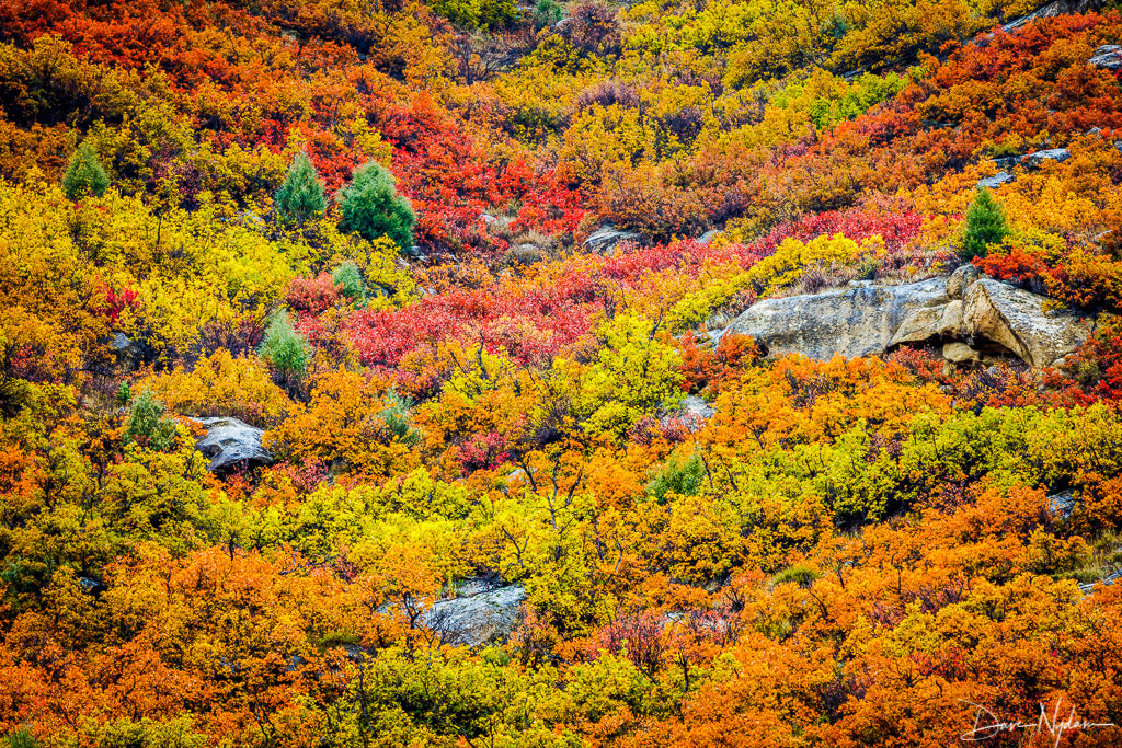 Colorado Colors as Fine Art Print