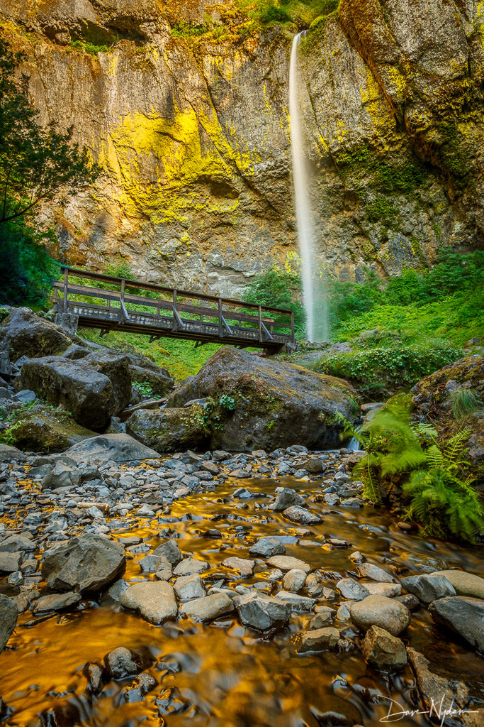 Waterfall with Bridge and Golden Creek Photograph as Limited Edition Fine Art Print