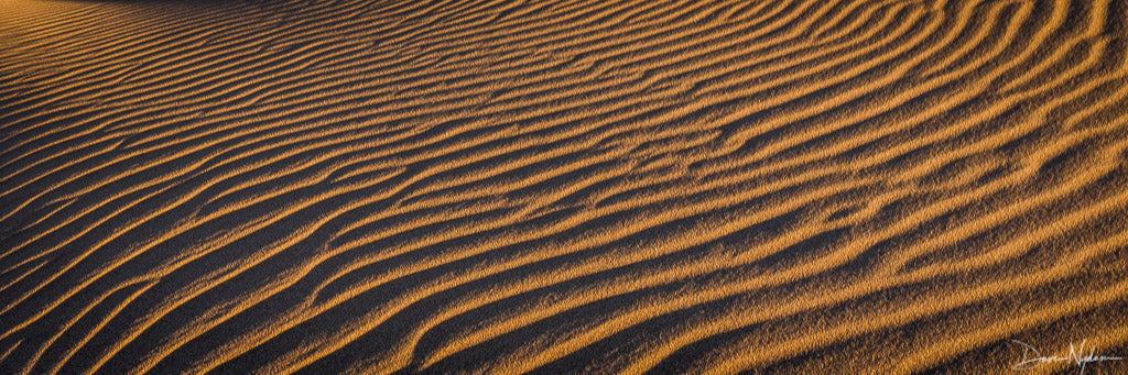 Sand Ripples at Sunset as Panoramic Fine Art Print