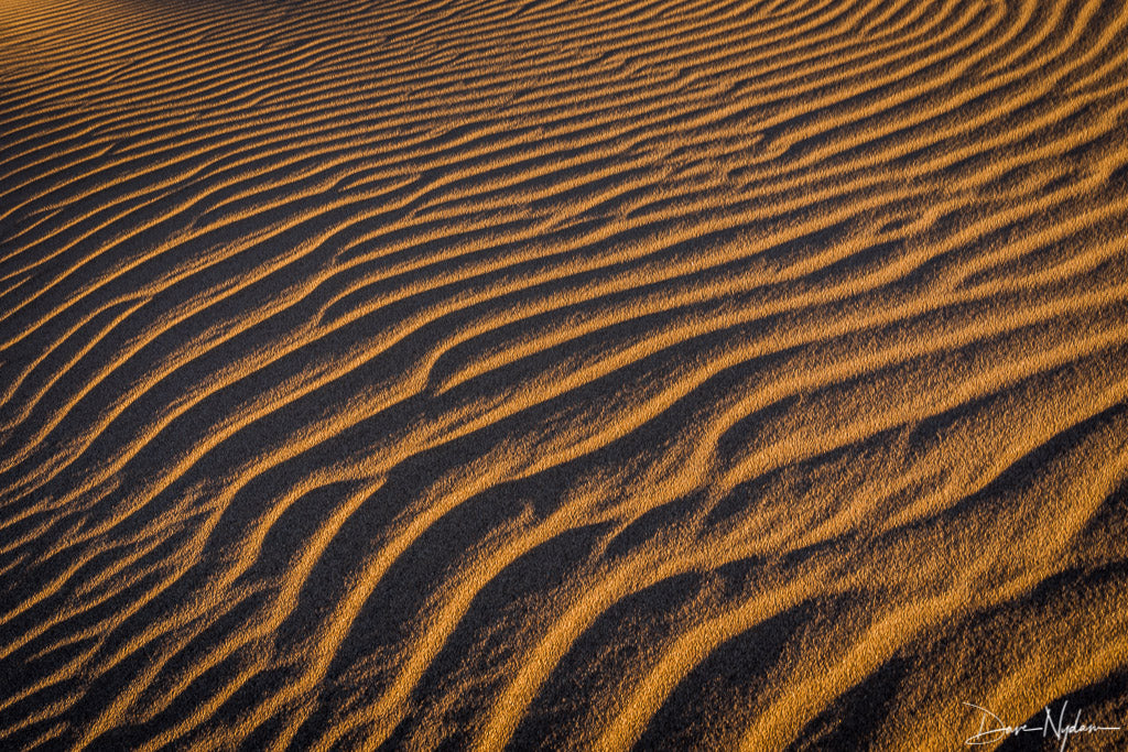 Sand Ripples at Sunset as Fine Art Print