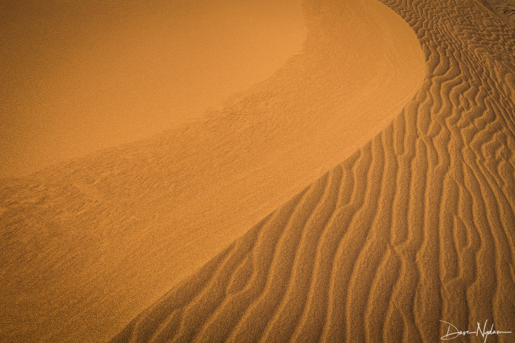 Great Dune Ridge line at Sunset as Fine Art Print