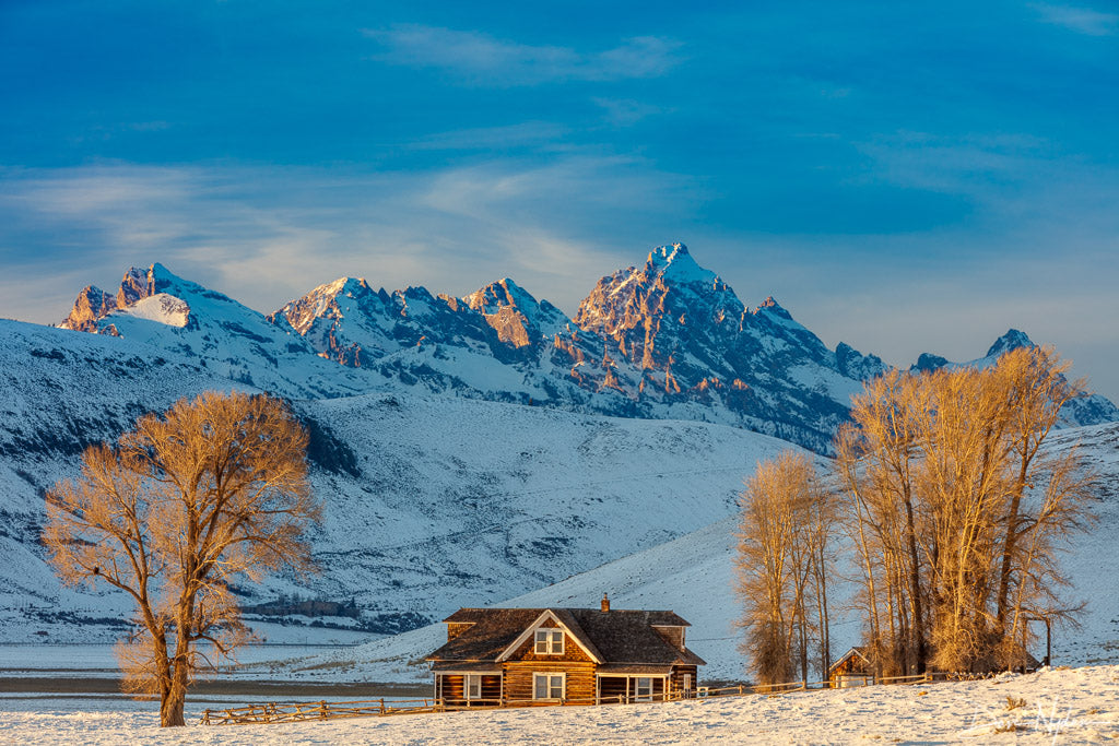 Farm, Trees and Mountains Photograph as Fine Art Print