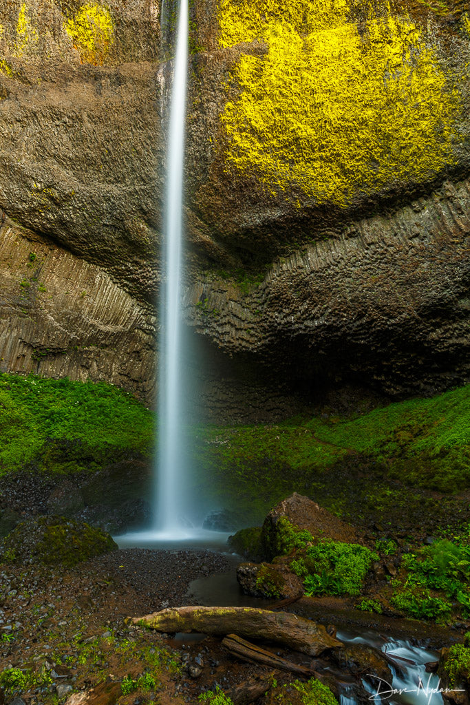 Waterfall on Basalt with Yellows and Greens Photograph as Limited Edition Fine Art Print