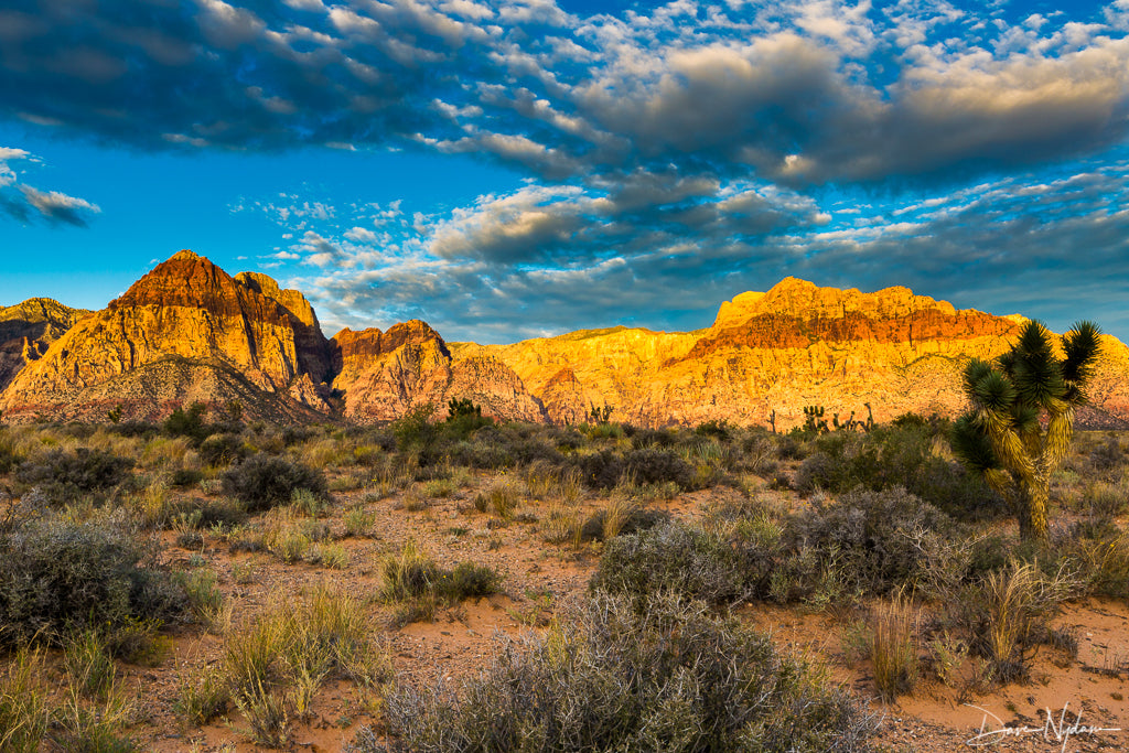 Red Rock Canyon Sunrise Photograph as Limited Edition Fine Art Print