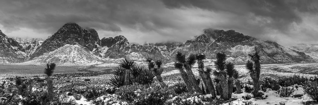 Mountains Snow and Desert Black and White Photograph as Limited Edition Fine Art Print