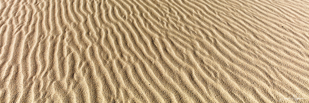 Desert Sands Panorama Photograph as Fine Art Print