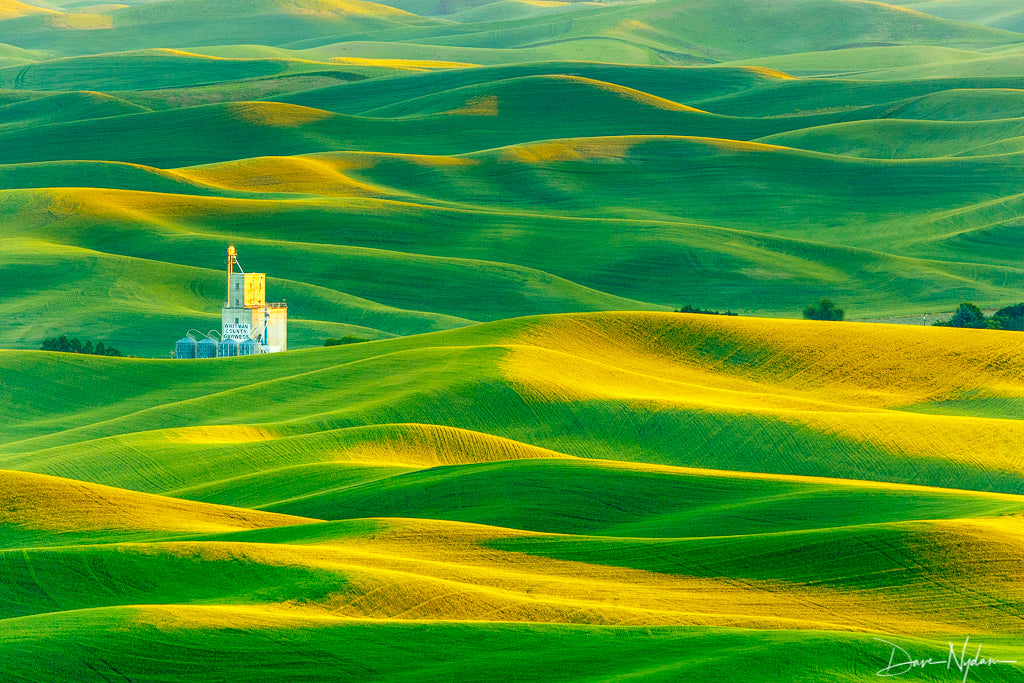 Rolling Farmlands Photograph as Limited Edition Fine Art Print