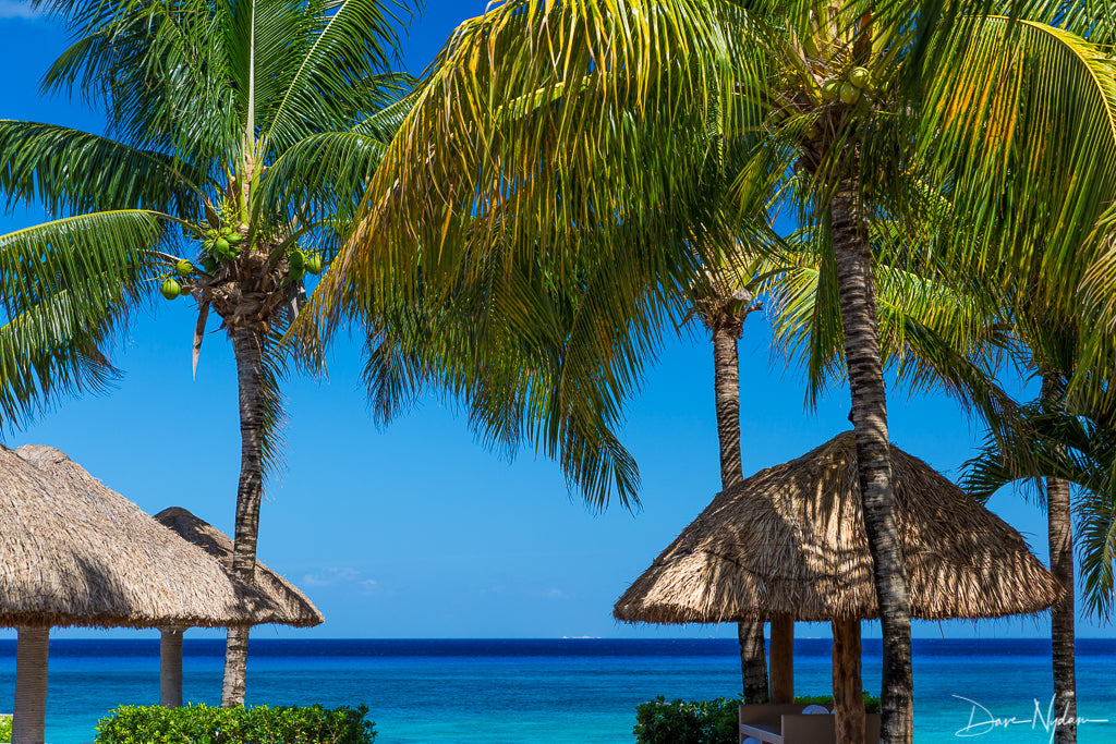 Palapas and Palm with Blue Ocean Photograph as Limited Edition Fine Art Print