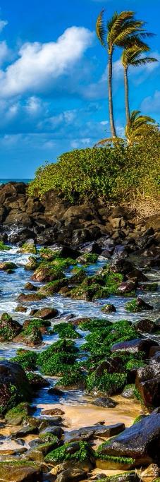 Rocky Beach with Palms Photograph as Limited Edition Fine Art Print