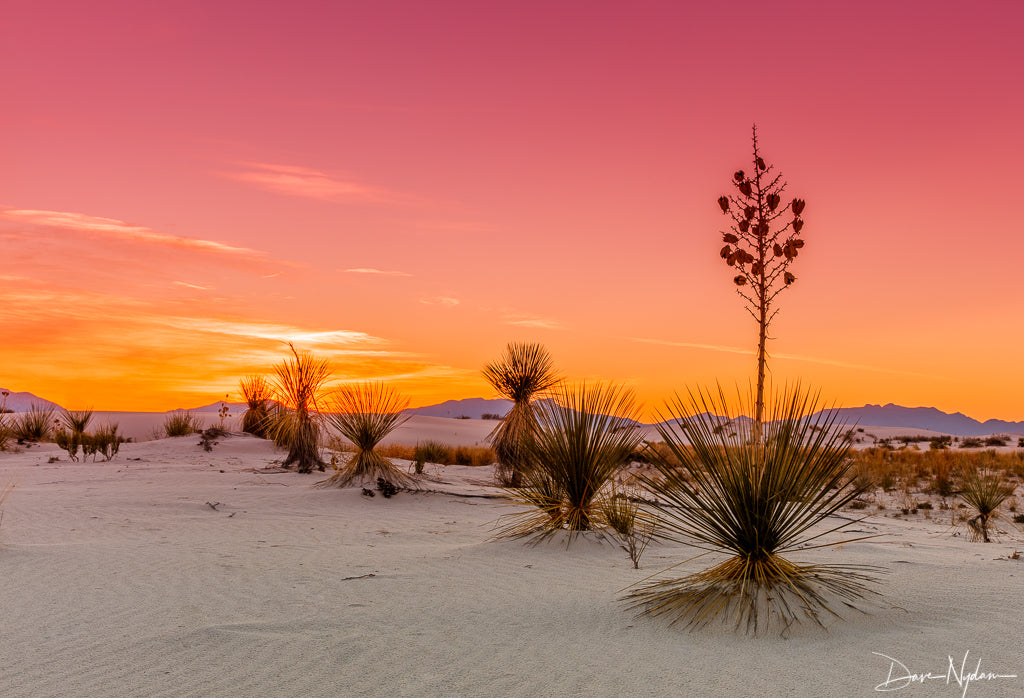 White Sands Sunset Photograph as Limited Edition Fine Art Print