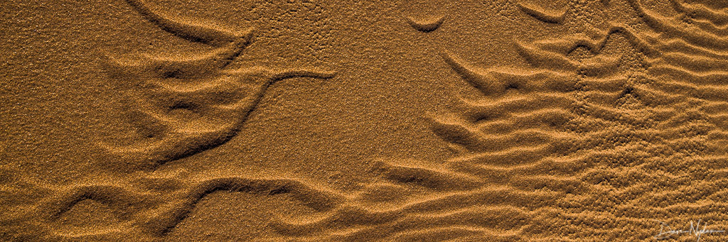 Unique Sand Pattern Carved by the Wind as Panoramic Fine Art Print