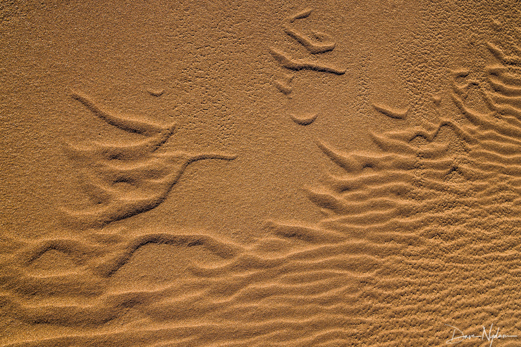 Designs in Sand Carved by Wind as Fine Art Print