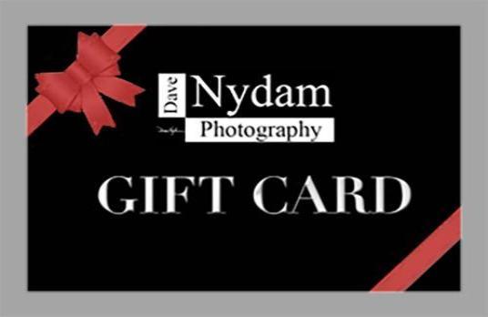 MKC Photography Gift Card - mkc photography